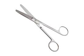 Tijera Quirúrgica Punta Roma - Imagen 2